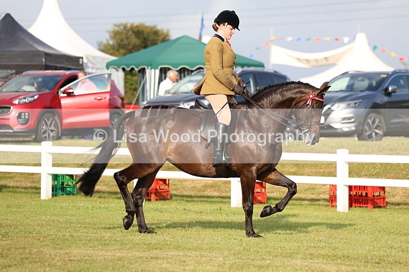 3E7A7676 - Class 1: Rising Star Small Hack/Riding Horses