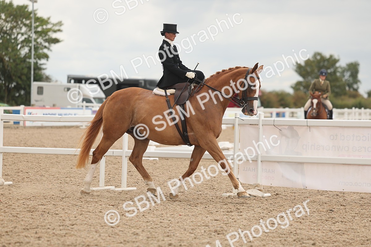 SBM_06403 - Class 23 - SSA - Classical