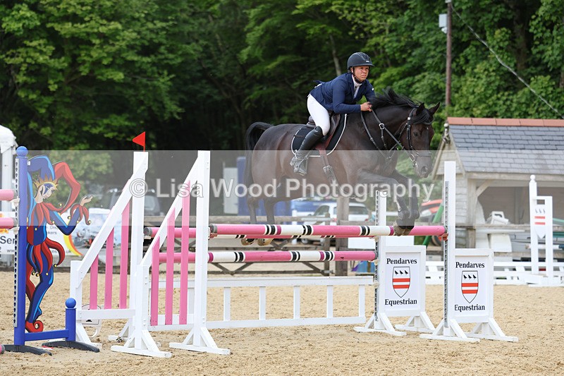 3E7A7504 - Class 8: Senior Foxhunter/1.20 open