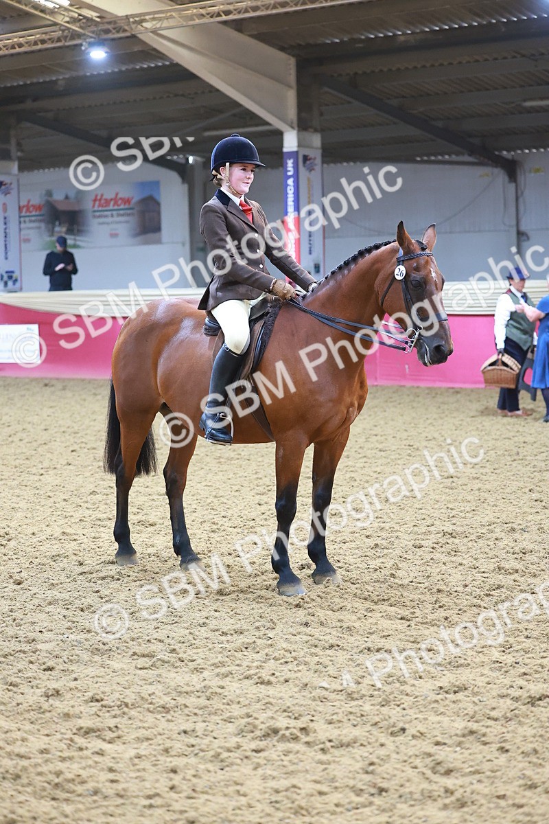 SBM_07666 - Class 101 - HOYS Veteran Qualifier - Ridden Diamond