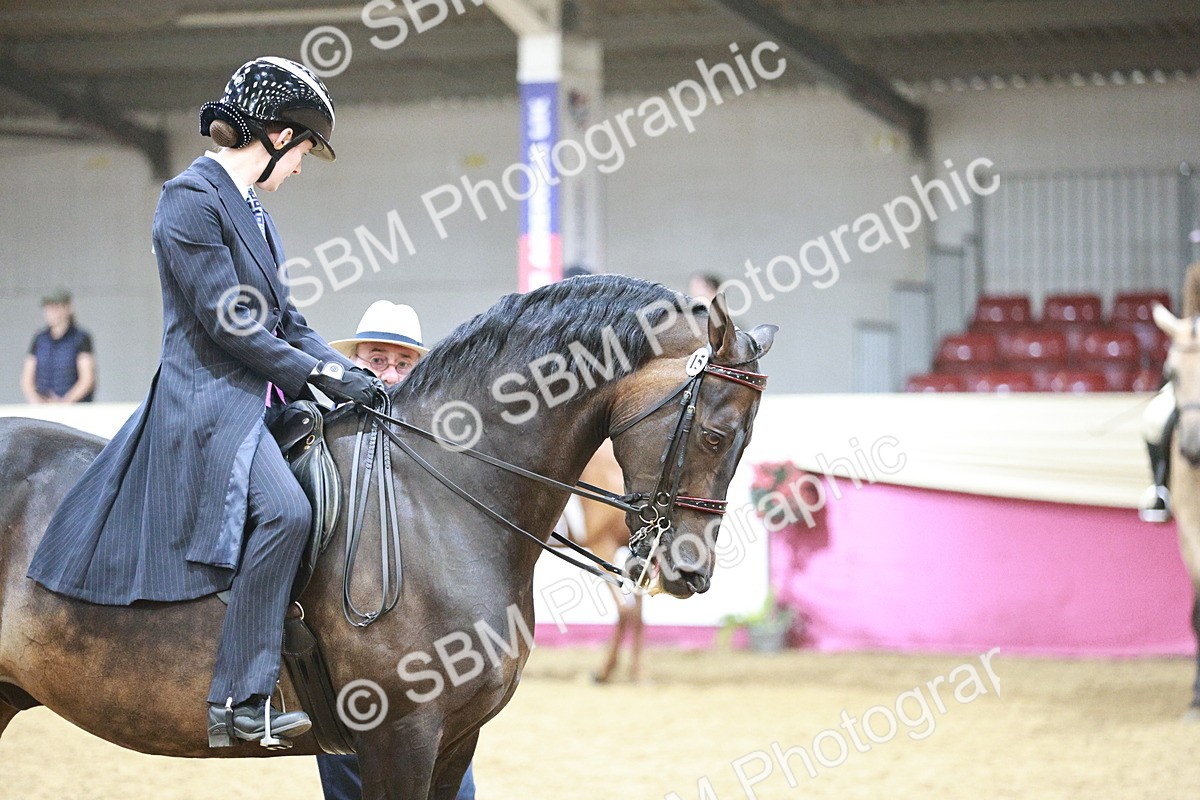 SBM_03360 - Class 6A Area Ridden Pre-Vet