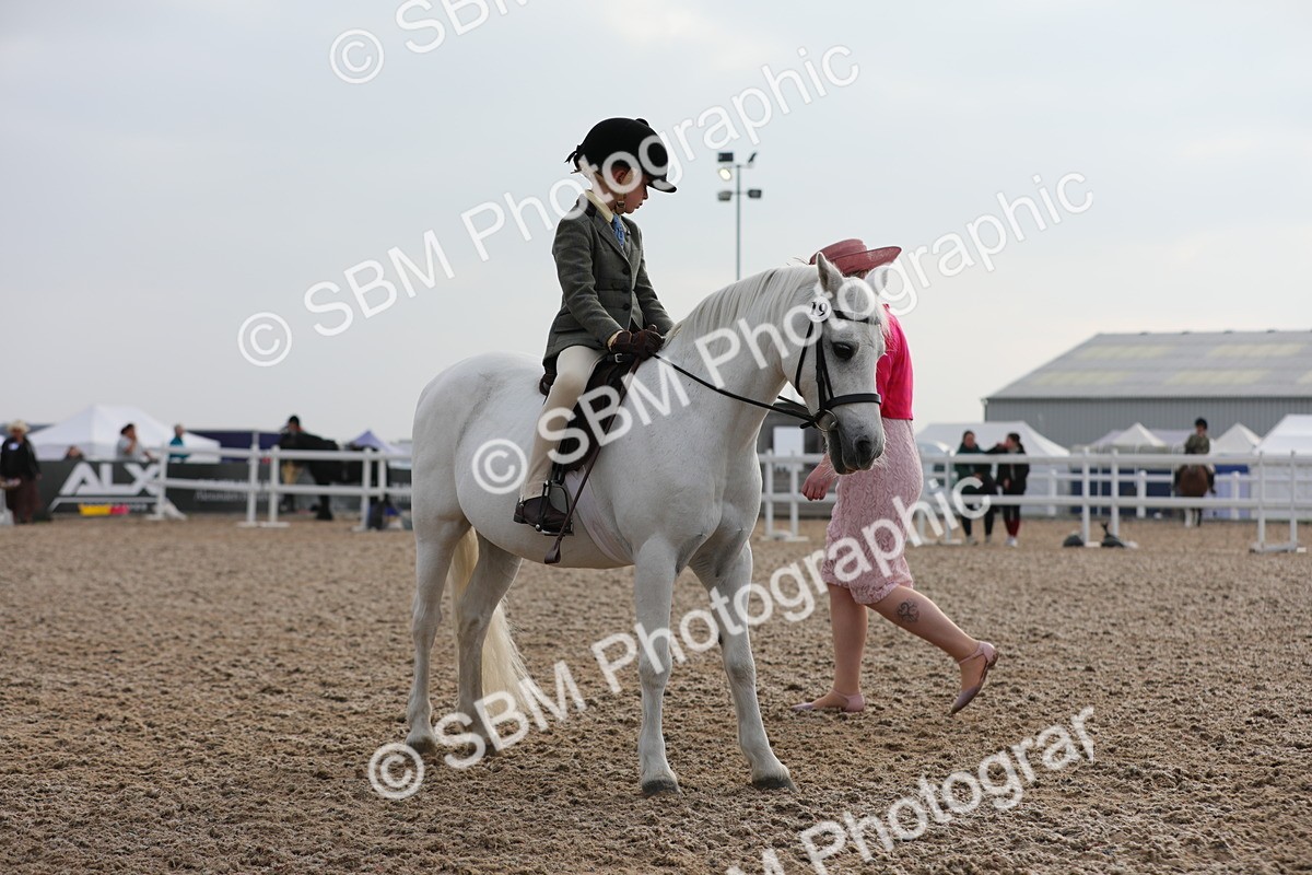 SBM_09645 - Class 301 Ridden M&M -Small Breeds
