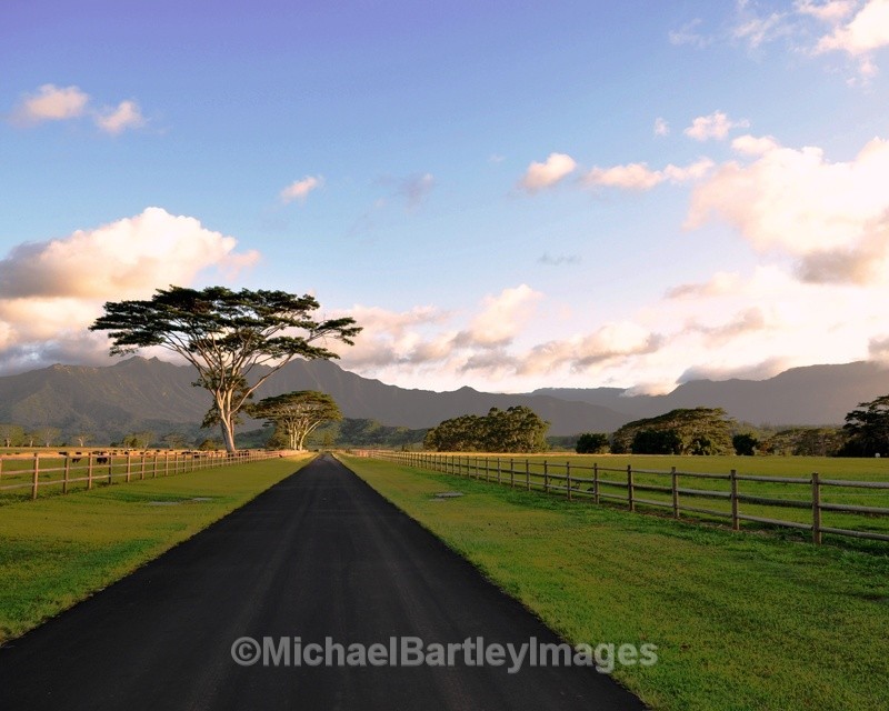 Kauai Road - Great Places