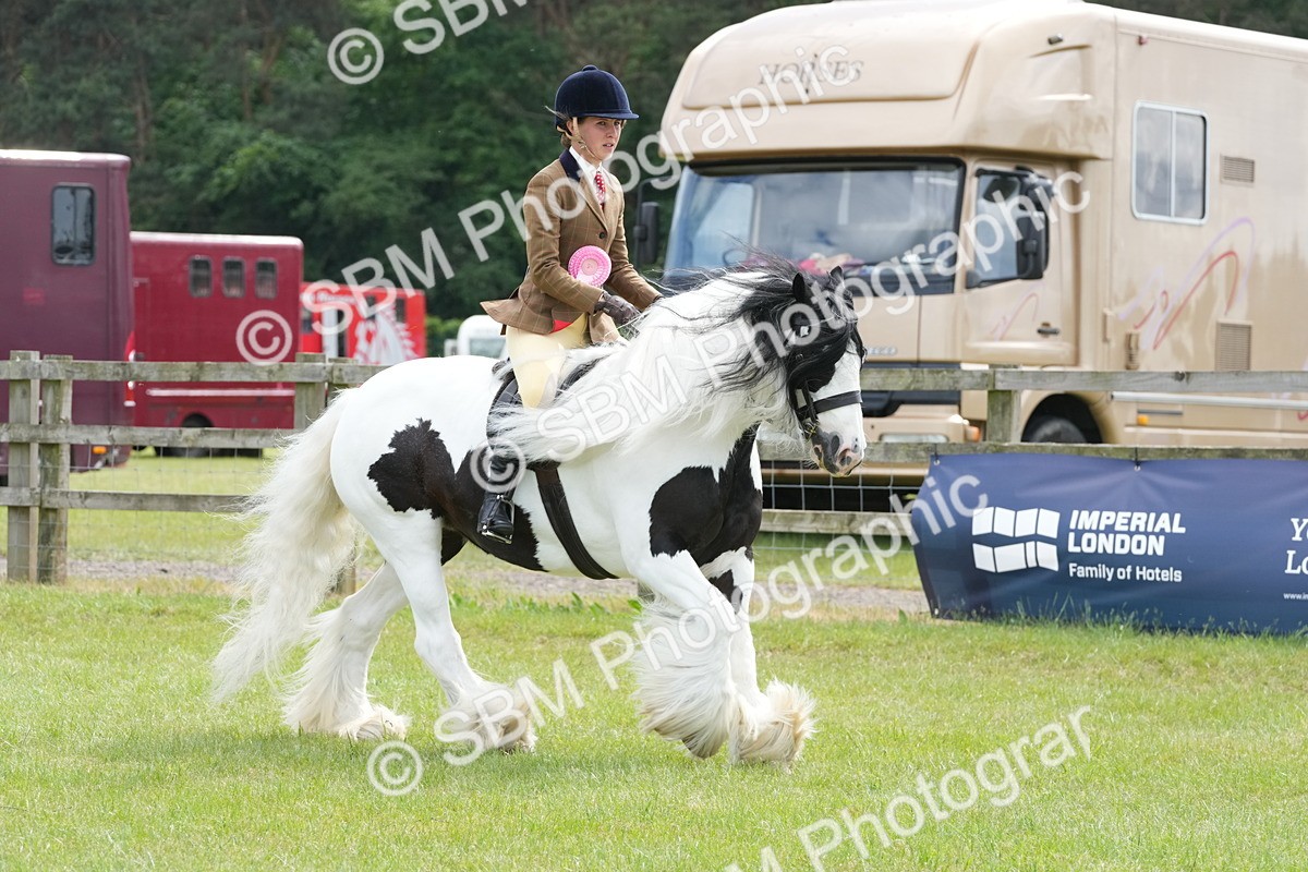 SBM_17358 - Class 107-108 - LIHS BSPS Performance Coloured Horse Pony