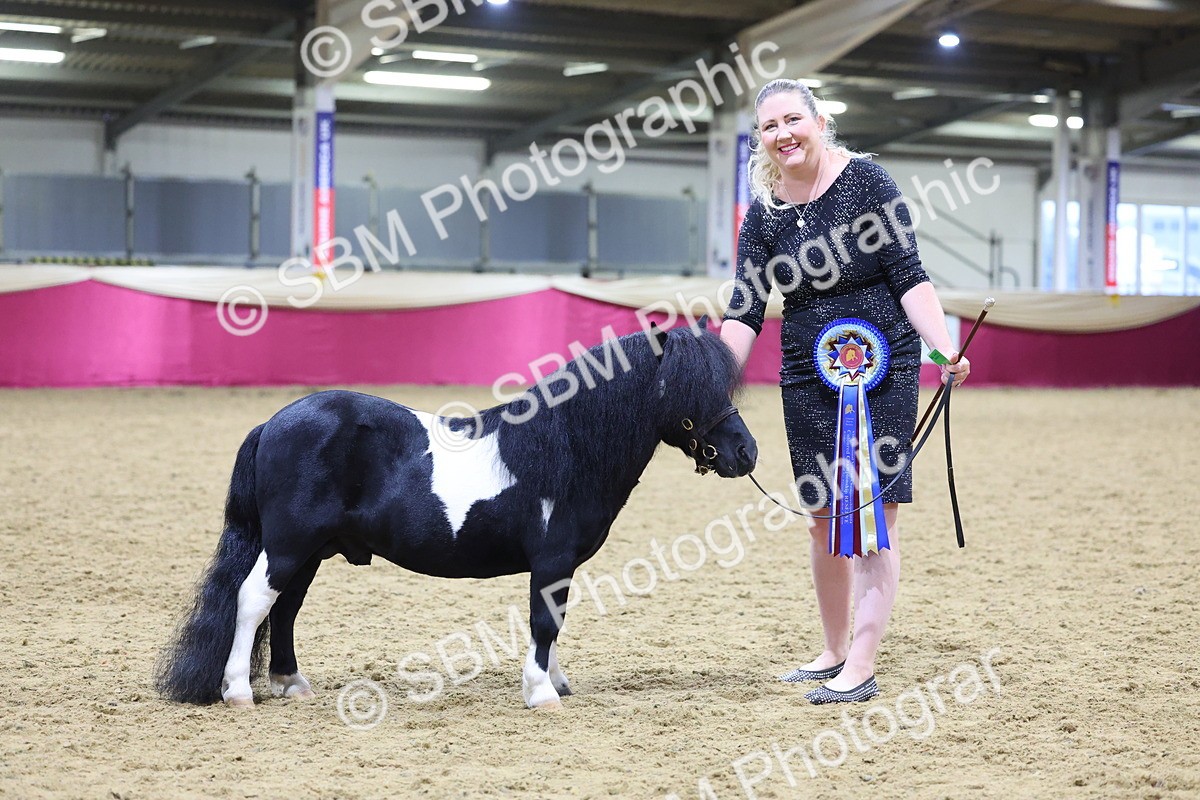 SBM_19240 - Class J Coloured Champ