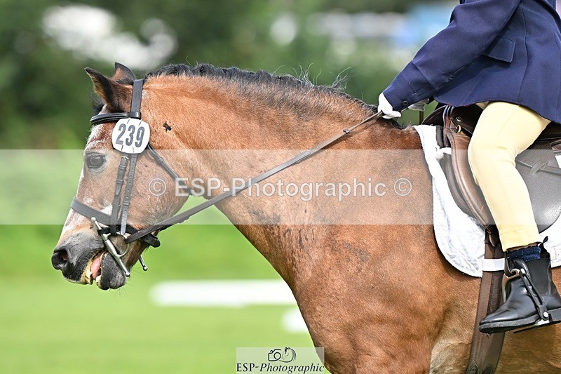 230826-103510-16580 - Sections A & B 10 to End