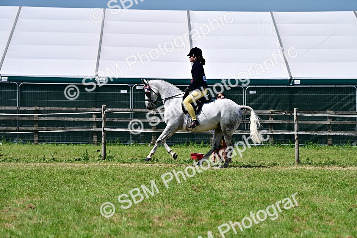 SBM_17556 - Class 95-97 - BSPS LHS Performance Ponies