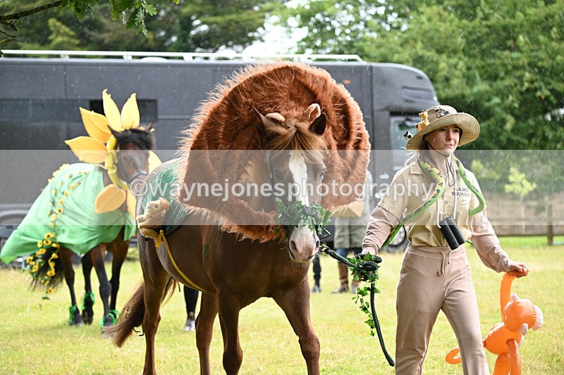 WJ6_9048 - Class 11 Fancy Dress