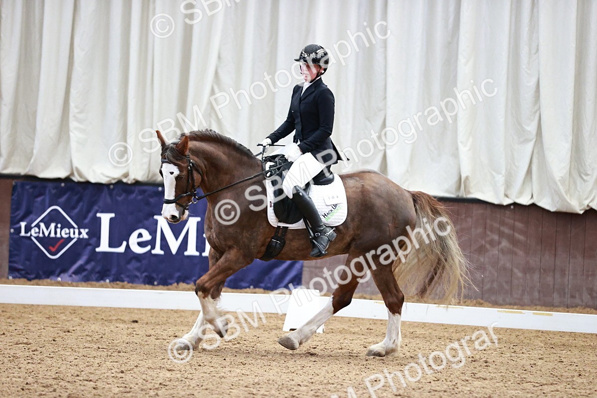 SBM_000153 - Class 3, 4, 8, 10 Intro 3 Prelim 3 Novice 2