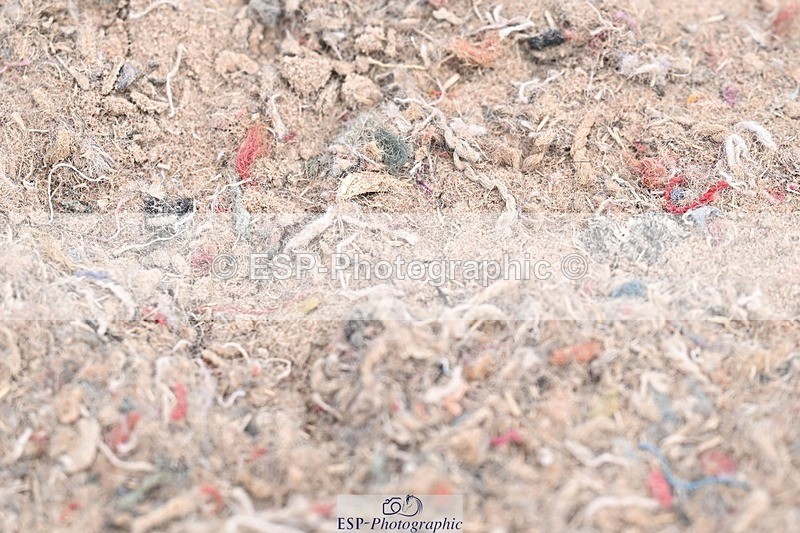 250621-111011-06368 - Cls 34 - Freestyle Medium