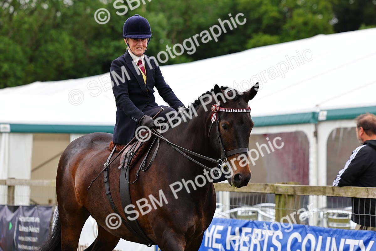 SBM_02796 - Class 9-11 Side Saddle including LIHS Rising Star Ladies Show Horse
