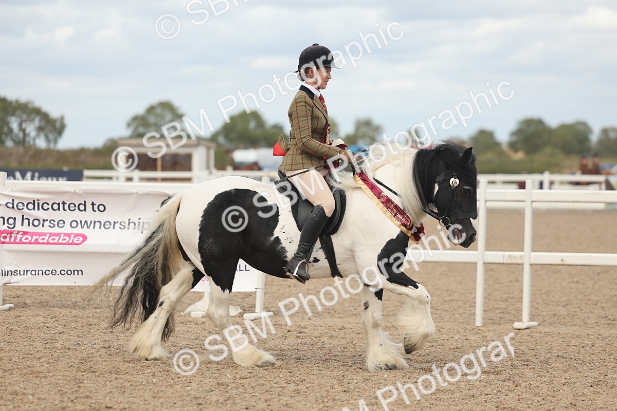 SBM_18092 - Class 314 - Family Horse Pony
