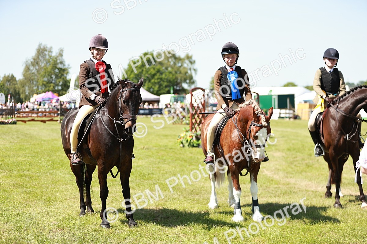 SBM_17664 - Class 112-113 - BSPS LIHS Working Sports Pony
