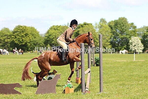 IMG_3772 - Working Hunter