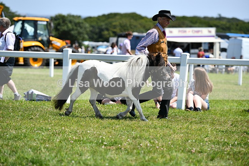DSC_7572 - Class 64: Coloured Pony 4yrs & over