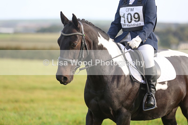 3E7A5492 - Class 1: Trebudannon Open: Dressage