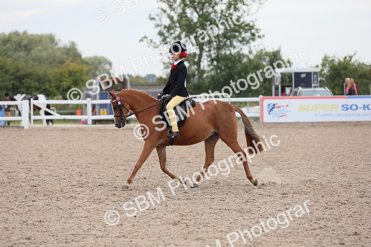 SBM_18061 - Class 316 Best Pony/Rider Combination