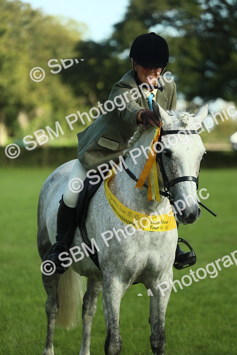 SBM_49920 - S32 - Novice & Newcomers Working Hunter