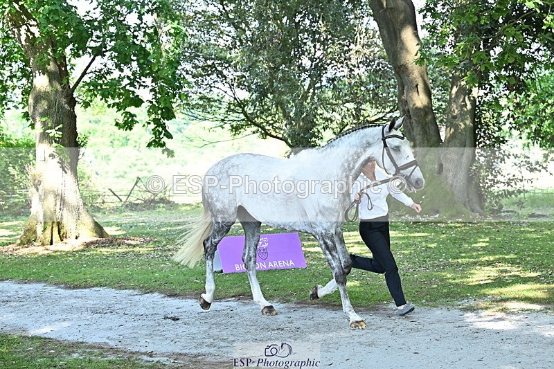 250521A-160134-00869 - C-203-Jonelle.Price-FAERIE.USAIN