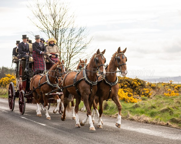 Anne -95 - Troon Easter Monday Drive 2026