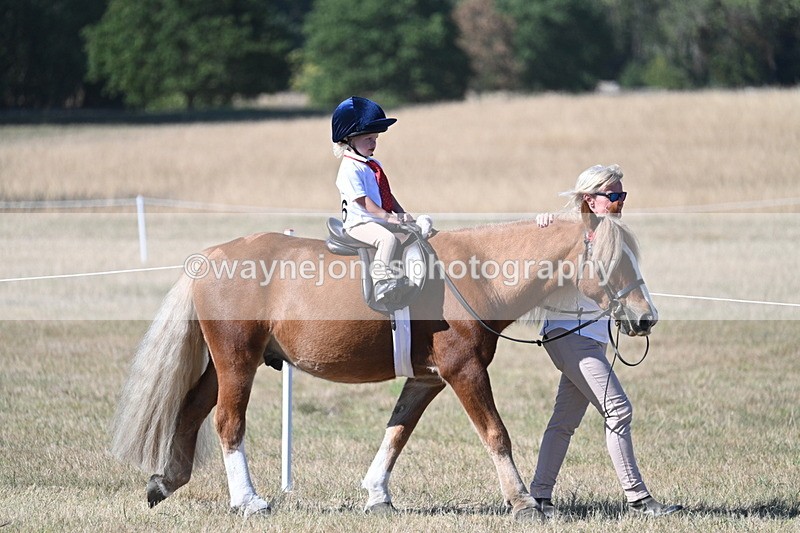 WJ7_2064 - Class 44 Child's Best Friend