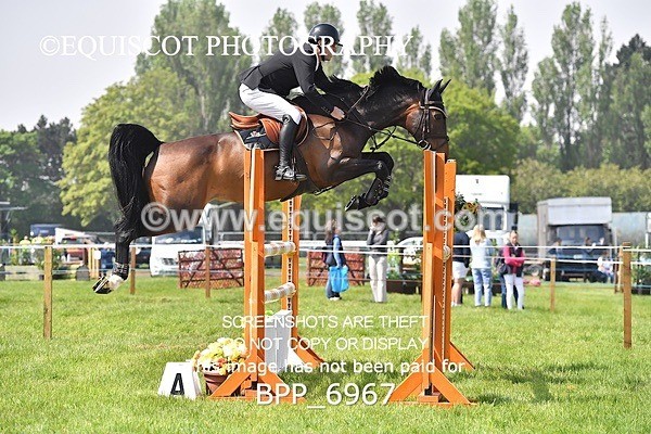 BPP_6967 - CLASS 3 RHS Fox Champ Qual (1.20m)