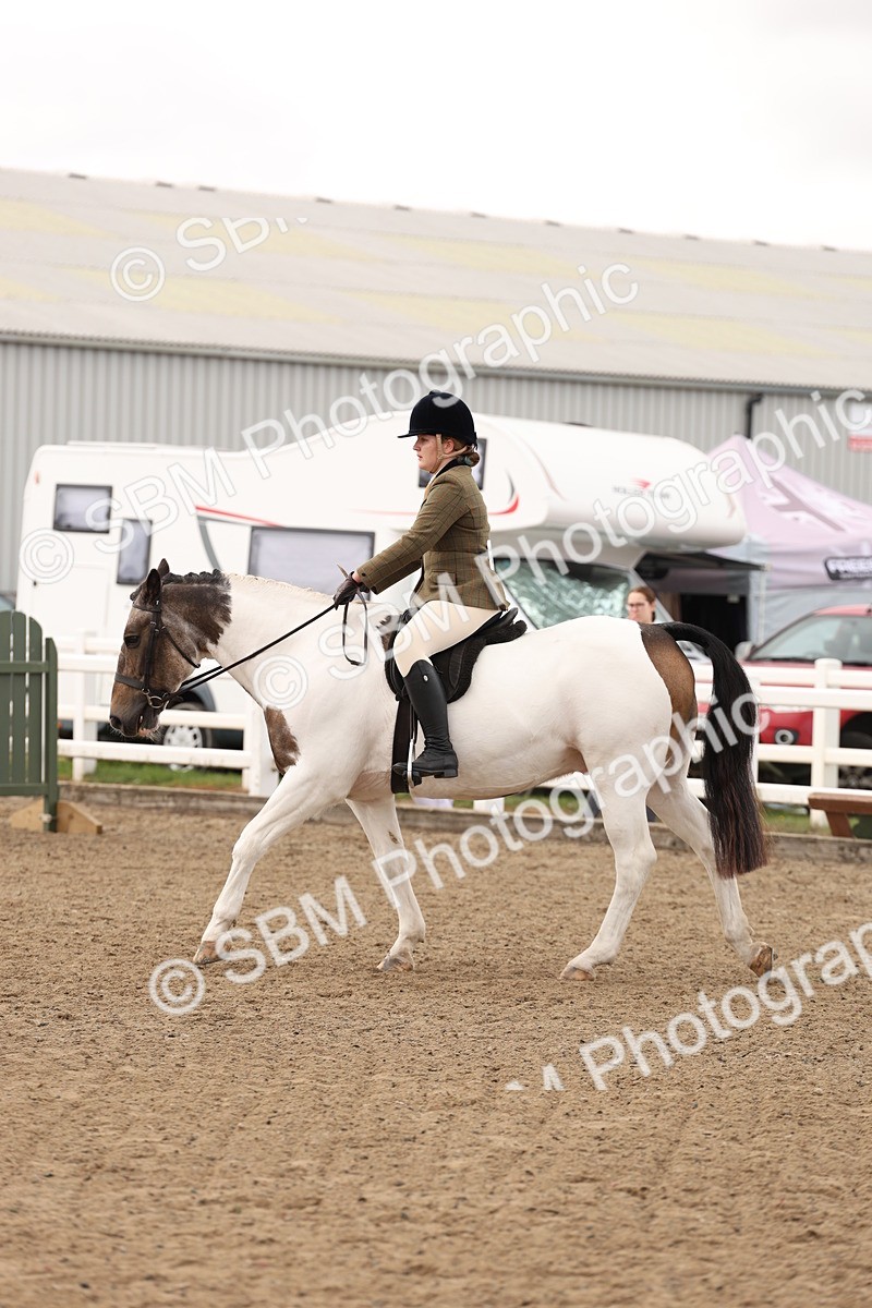 SBM_02888 - Class 53 - Ridden Competition Horse/Pony