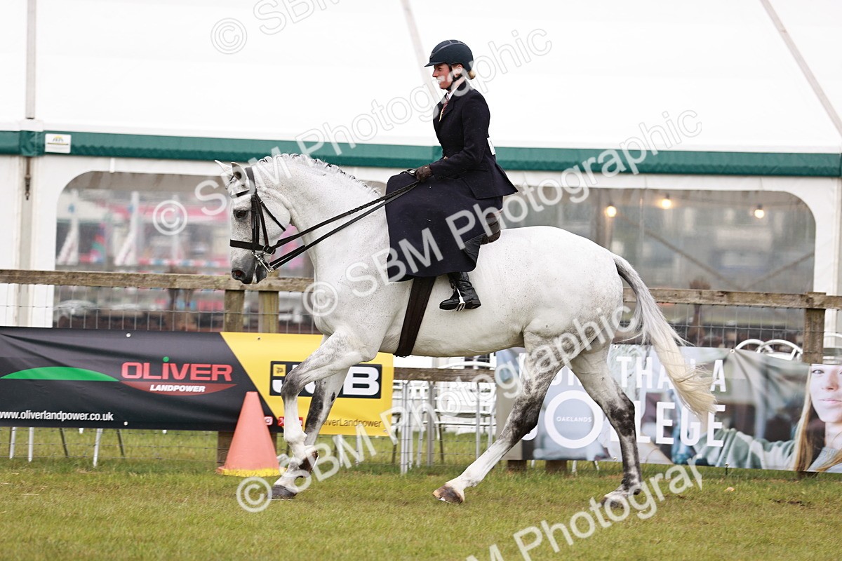 SBM_10982 - Class 81-84 - RIHS Ridden hunters Inc Ladies Hunter
