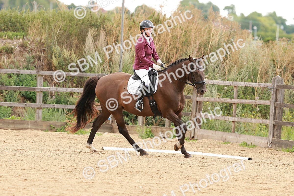 SBM_001719 - Novice 1