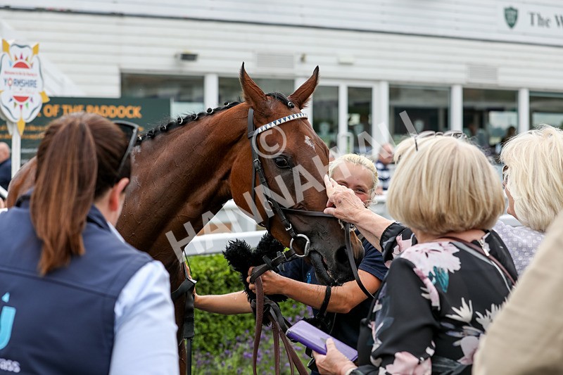 240724-Race 6-One Of Our Own-3753 - Race 6