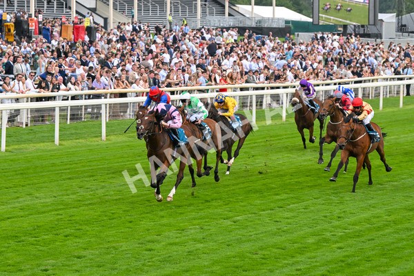 250725-Race 3-Amakhala Warrior-5717 - Race 3 6.38pm Ire-Incentive, It Pays To Buy Irish EBF Restricted Novice Stakes