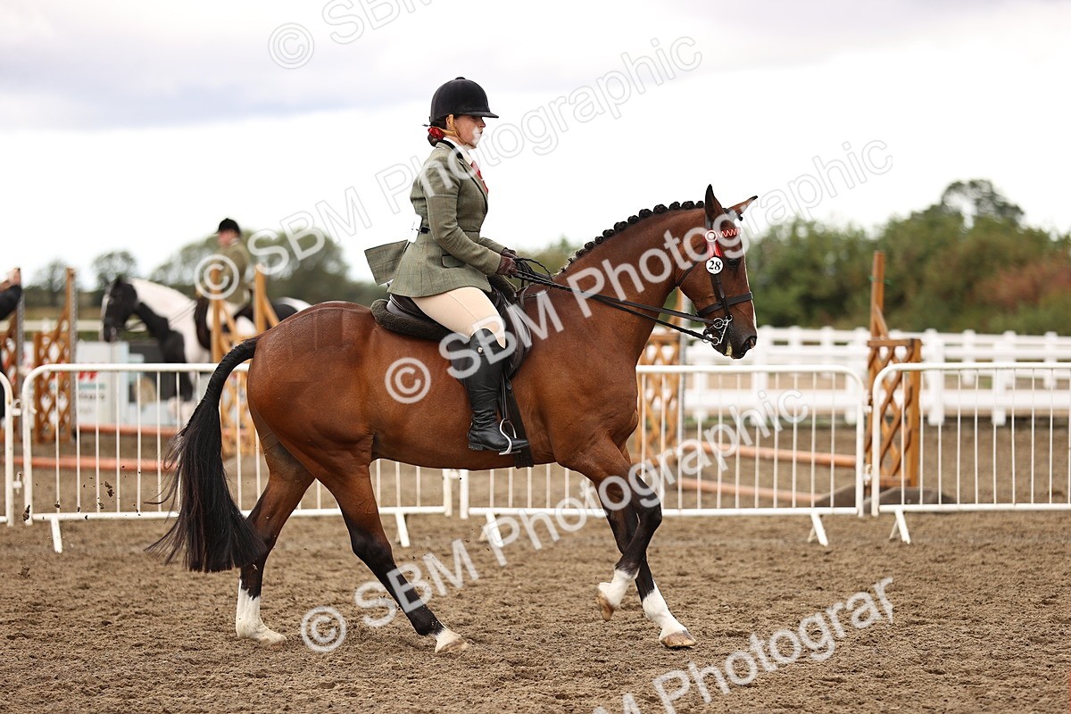 SBM_00624 - Class 53 - Ridden Competition Horse Pony