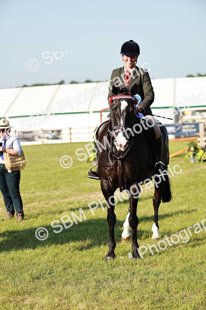 SBM_20134 - Class 115-116 - LIHS BSHA Rising Star Working Hunter & Show Horse