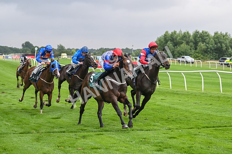 230725-Race 6-Quercus-0623 - Race 6