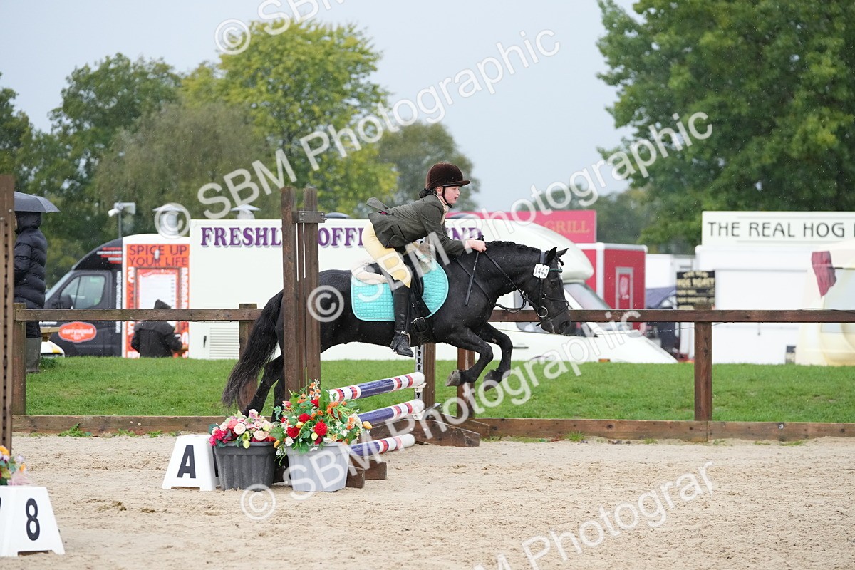 SBM_33854 - J5 - Junior Pony 50cm Championship