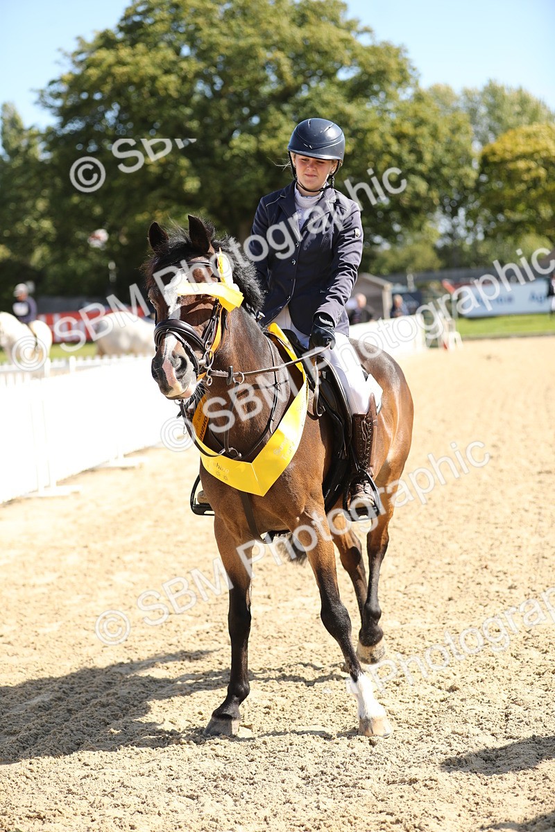 SBM_04786 - J28 - Senior Horse & Pony 60cm Championships