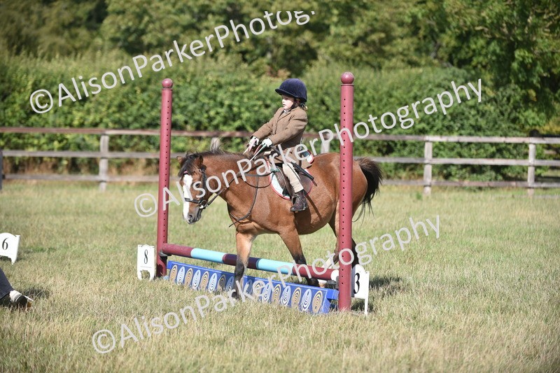 20260906-0990 - Class 7 - Absolute Novice Jumping 35cm