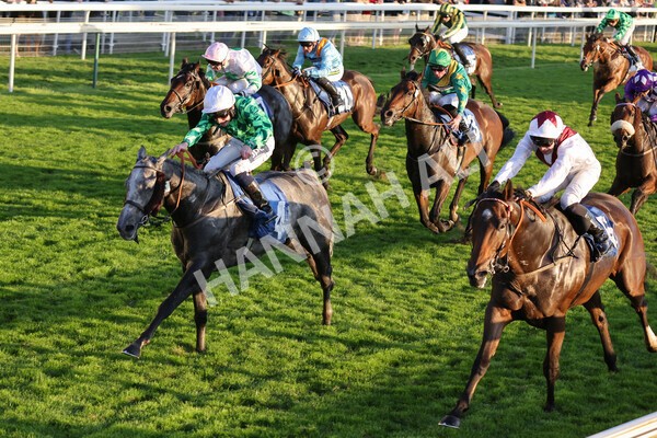 yr08102021r7-26 - Race 7 5.25pm The IRE Incentive, It Pays To Buy Irish Handicap