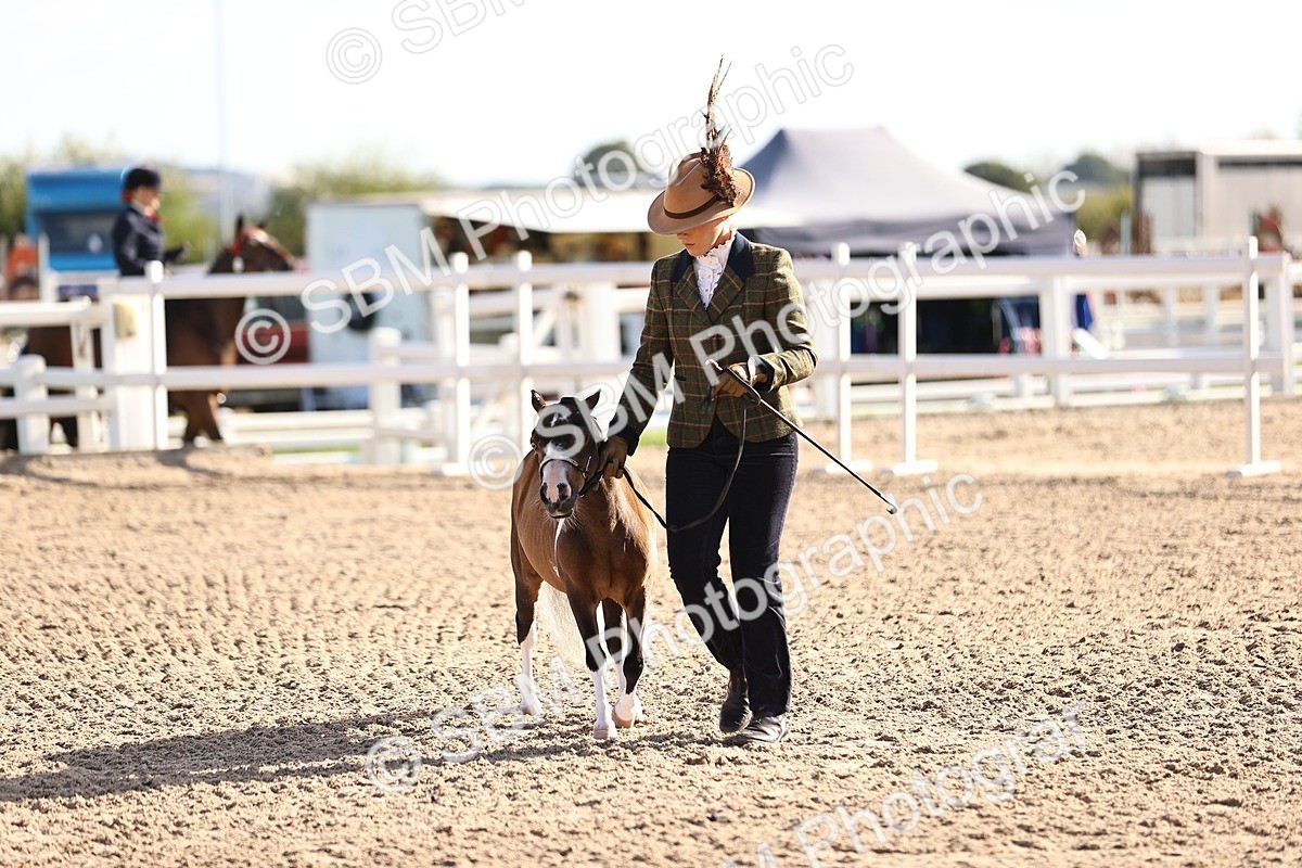 SBM_08516 - Class 402 - IH Veteran Pony