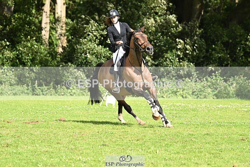 240706-165001-17137 - Cls 44 Foxhunter