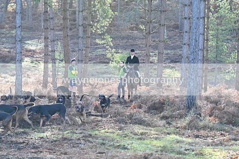 WJ7_7190 - Line 3 (no line 4 or 5)