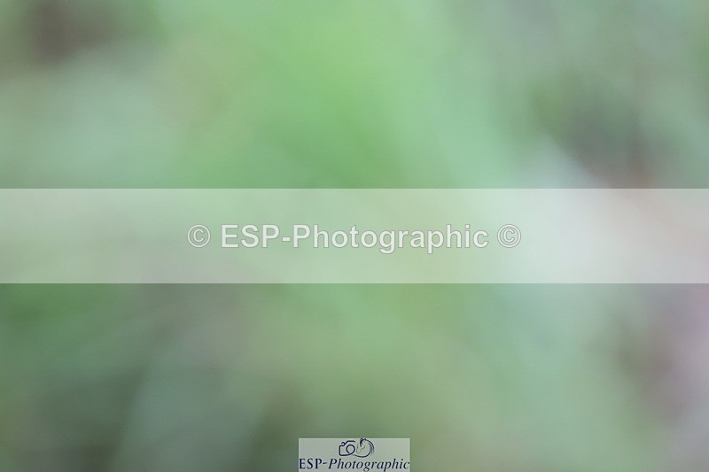 240901A-155112-10916 - 518-Sophie.Goodall-MILLFIELD.ROLY.POLY