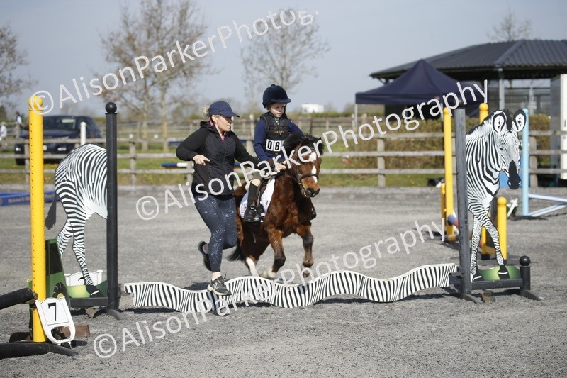 20250412-0209 - Show Jumping