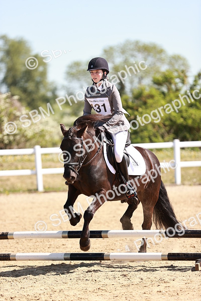 SBM_006979 - Class 2 - 50cm