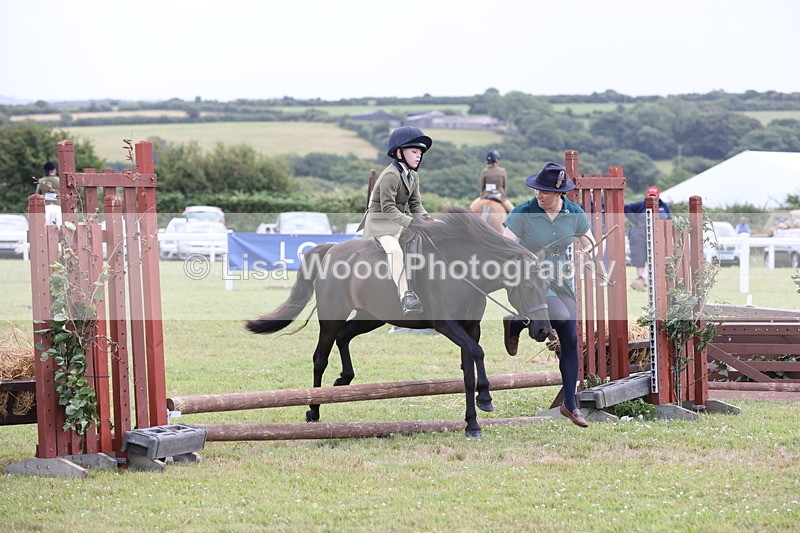 JPP_1790 - Class 18: Tiny Tots Working Hunter Pony