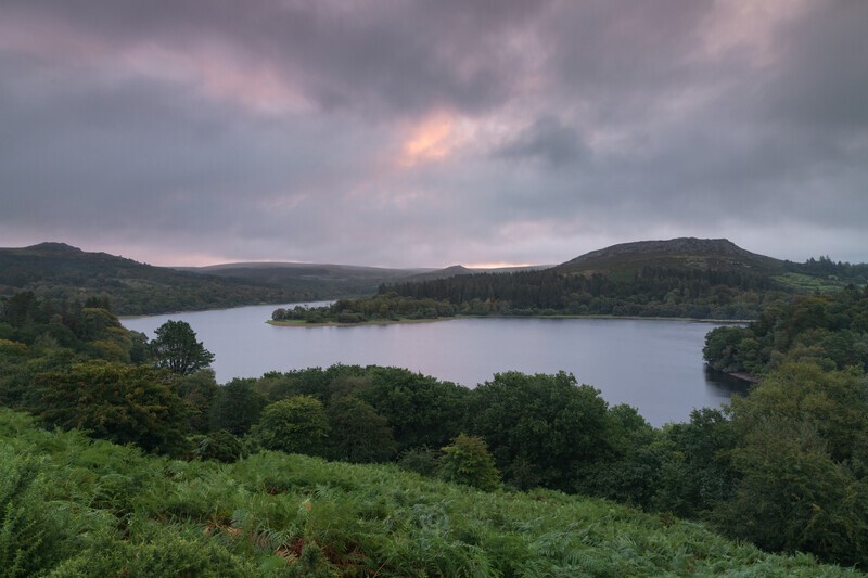 Hint - Dartmoor