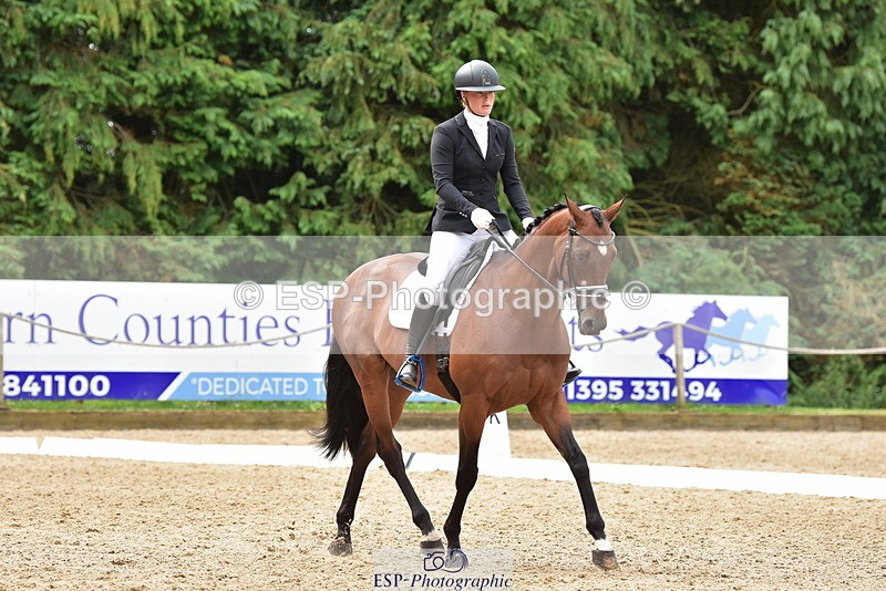 250719A-124032-05656 - 175-Louise.Hendy-Gulf.Of.Poets