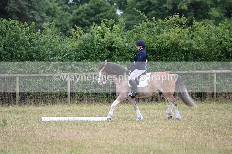 WJ6_3052 - Time 11:07 to 11:34