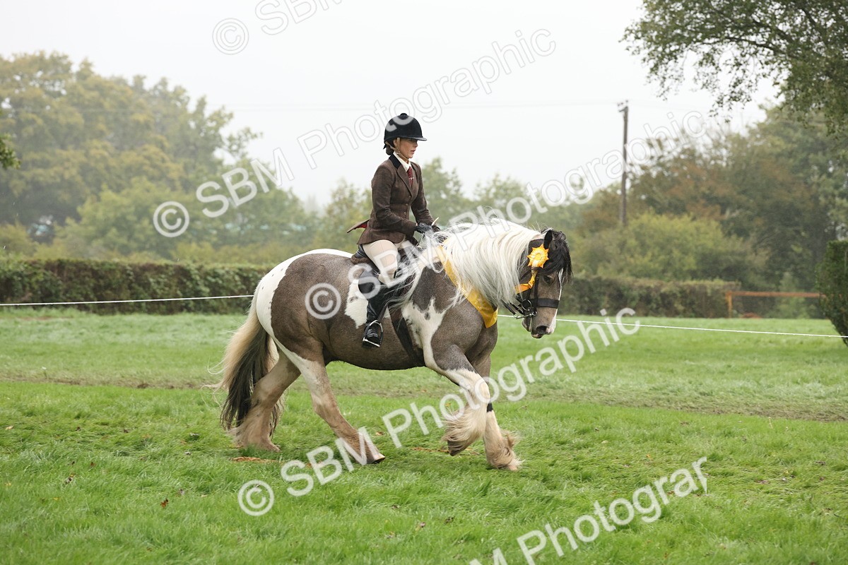 SBM_72921 - Ridden Horse Supreme Championship