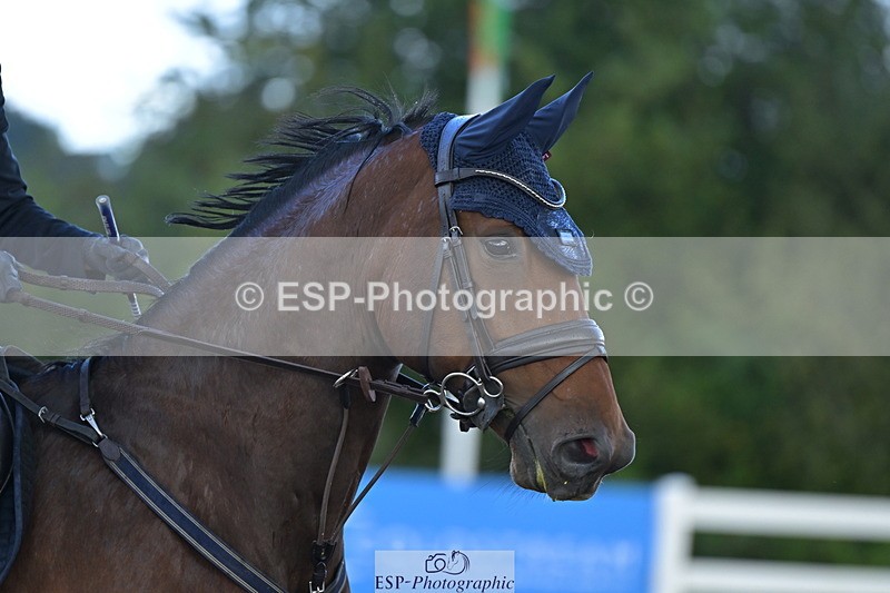 240912A-101819-00967 - Cls 8 Snr British Novice and 90cm Open